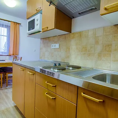 Διαμέρισμα Rokys Rokytnice nad Jizerou