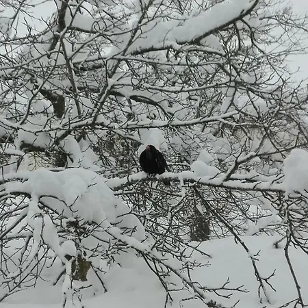 Rokys Rokytnice nad Jizerou