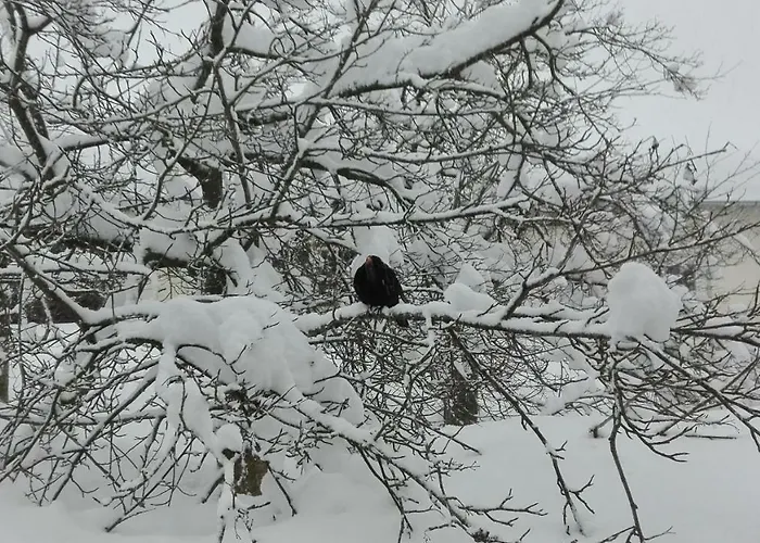 Rokys Rokytnice nad Jizerou